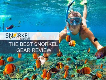 THE BEST SNORKEL GEAR REVIEW